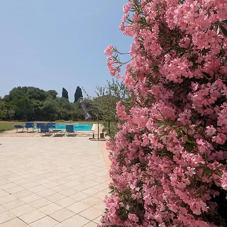 L'ulivo Apartment Alghero