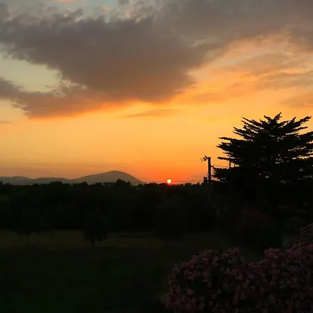 Appartamento L'ulivo Alghero