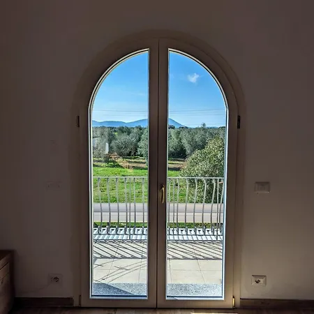 L'ulivo * Alghero