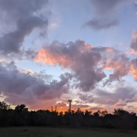 L'ulivo 아파트 알게로